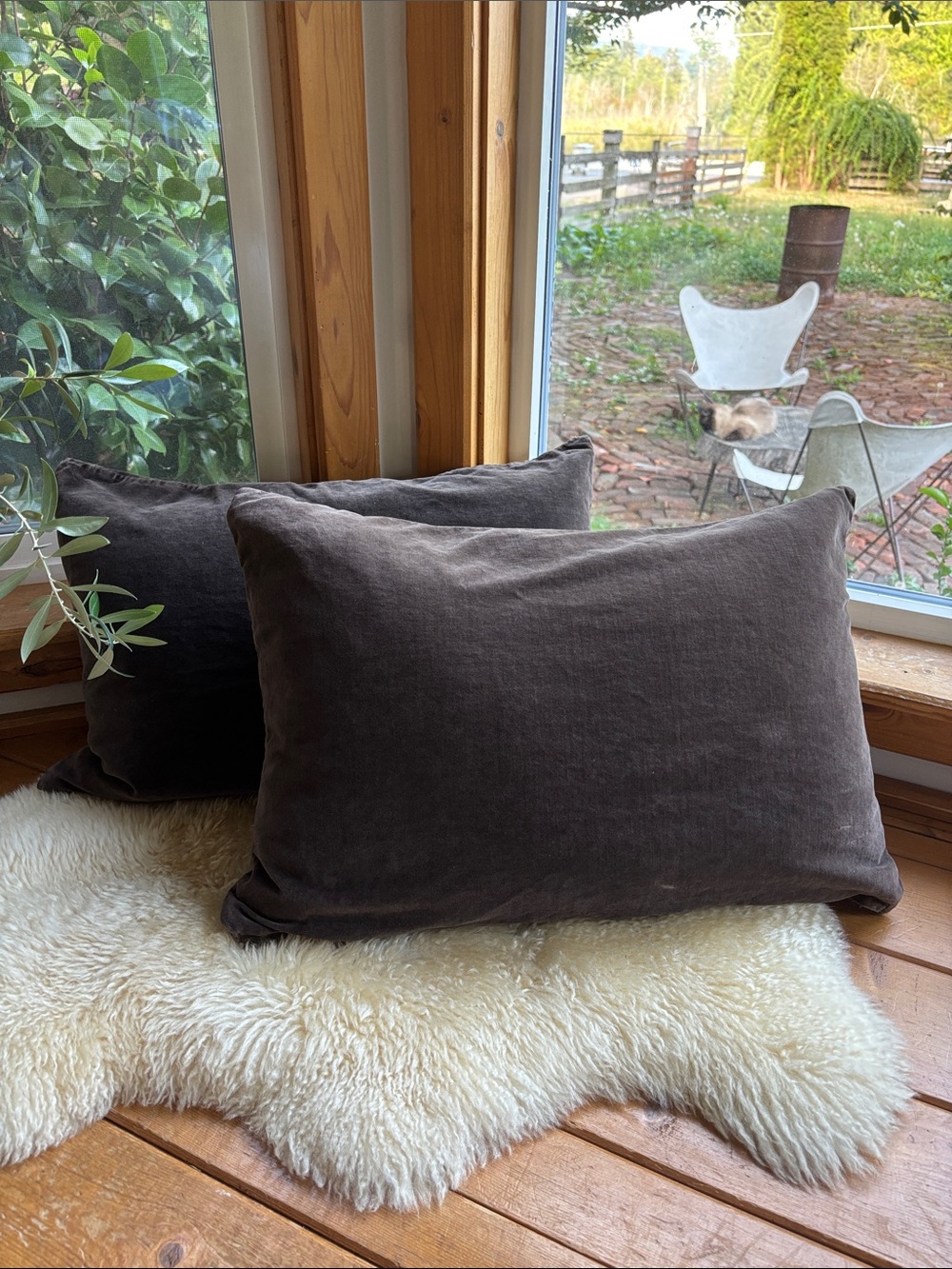 2 Velvet Throw Pillows